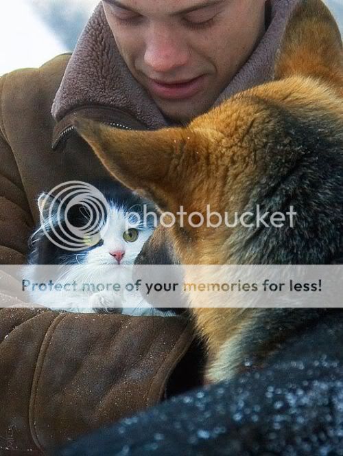 daily picdump 320 30