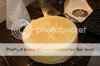 http://i518.photobucket.com/albums/u341/susanselten/IMG_9959.jpg?t=1254515143