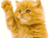 katteke.gif