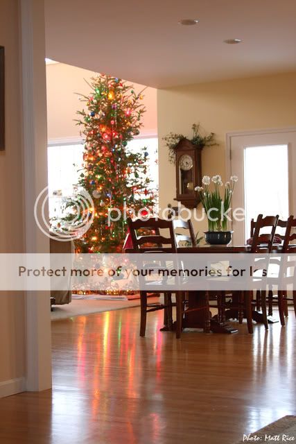 IMAGE: http://i518.photobucket.com/albums/u347/mattyrice47/IMG_8322FD.jpg