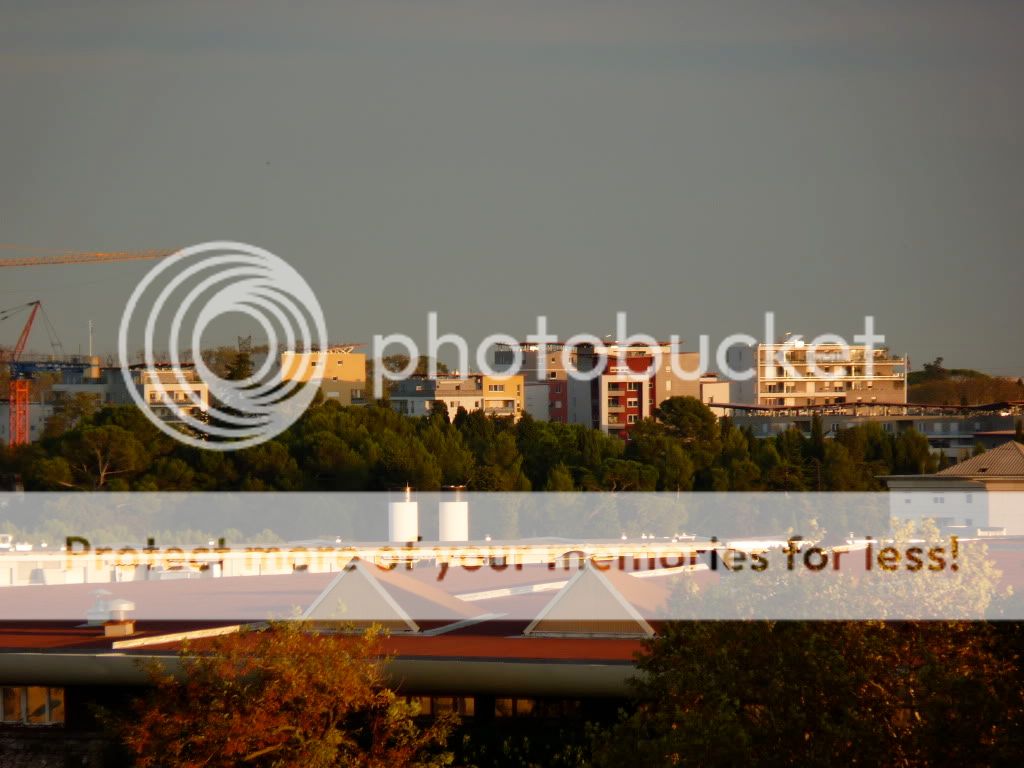 http://i518.photobucket.com/albums/u349/fab3408/P1010382.jpg